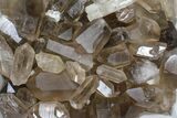 Lot: Lbs Smoky Quartz Crystals (-) - Brazil #84233-1